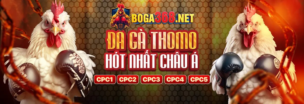 Sân vận động với không khí cá cược thể thao sôi động tại 181bet net
